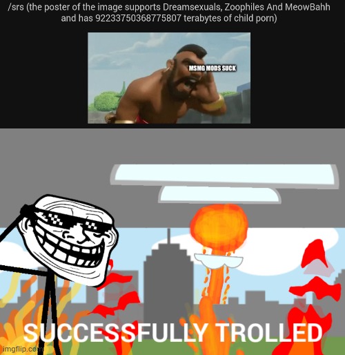image tagged in successfully trolled | made w/ Imgflip meme maker