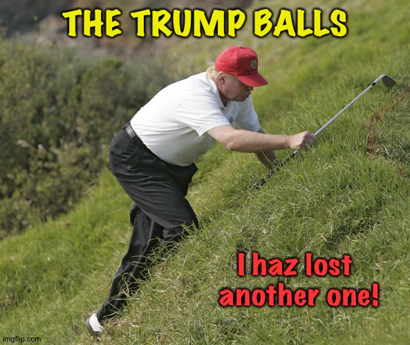 trump golfing | THE TRUMP BALLS I haz lost 
another one! | image tagged in trump golfing | made w/ Imgflip meme maker