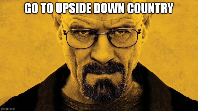 mr white | GO TO UPSIDE DOWN COUNTRY | image tagged in mr white | made w/ Imgflip meme maker
