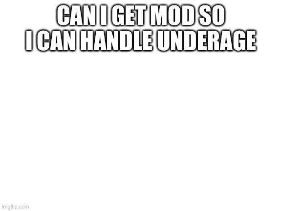 Blank White Template | CAN I GET MOD SO I CAN HANDLE UNDERAGE | image tagged in blank white template | made w/ Imgflip meme maker