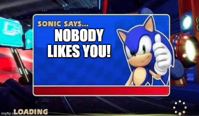 Sonic says... | NOBODY LIKES YOU! | image tagged in sonic says | made w/ Imgflip meme maker