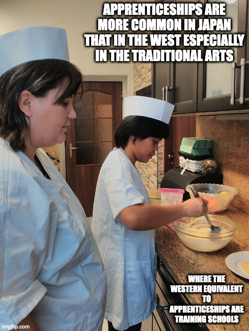 Apprenticeship School | APPRENTICESHIPS ARE MORE COMMON IN JAPAN THAT IN THE WEST ESPECIALLY IN THE TRADITIONAL ARTS; WHERE THE WESTERN EQUIVALENT TO APPRENTICESHIPS ARE TRAINING SCHOOLS | image tagged in apprentisceship,memes | made w/ Imgflip meme maker