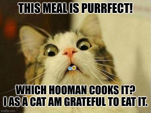 Scared Cat | THIS MEAL IS PURRFECT! 🐟🐠; WHICH HOOMAN COOKS IT?
I AS A CAT AM GRATEFUL TO EAT IT. | image tagged in memes,kitten,fishy | made w/ Imgflip meme maker