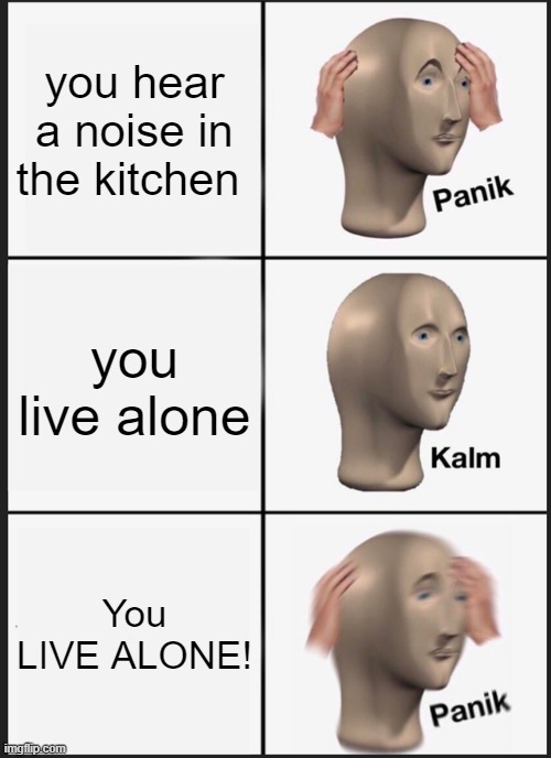 noise panic | you hear a noise in the kitchen; you live alone; You LIVE ALONE! | image tagged in memes,panik kalm panik | made w/ Imgflip meme maker