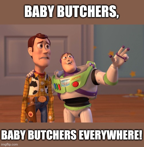 X, X Everywhere | BABY BUTCHERS, BABY BUTCHERS EVERYWHERE! | image tagged in memes,x x everywhere | made w/ Imgflip meme maker