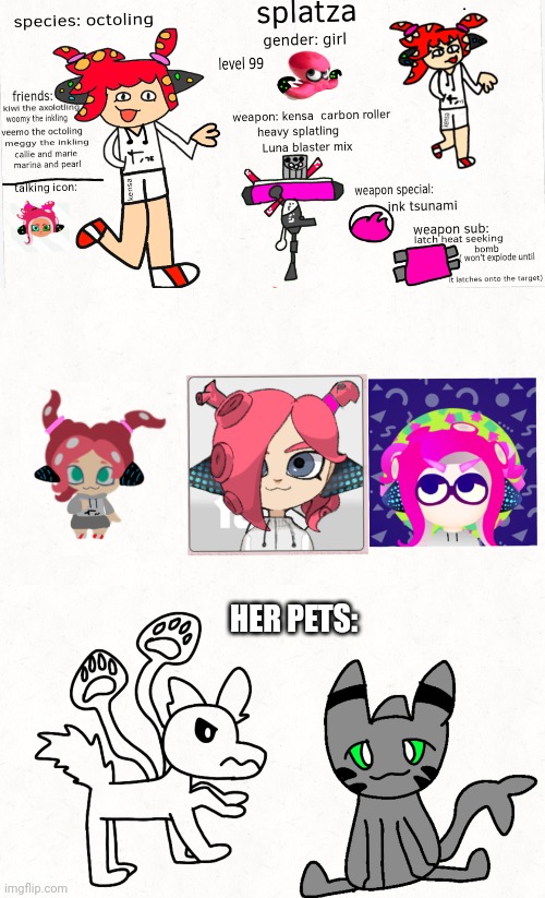 Splatza ( splatoon oc ) (Mod note: Cool!) | HER PETS: | image tagged in octoling | made w/ Imgflip meme maker