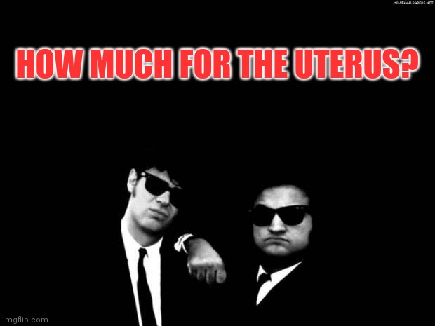 How much for the little girl? | HOW MUCH FOR THE UTERUS? | image tagged in blues brothers,buying votes,health care,economics,bank account,sacrifice | made w/ Imgflip meme maker
