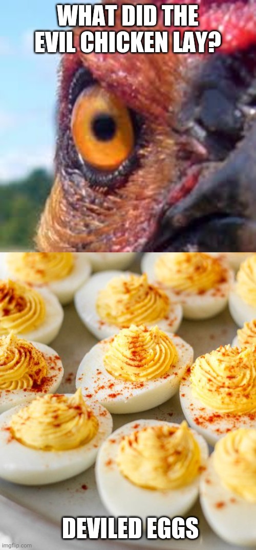 THAT'S ACTUALLY A GOOD CHICKEN | WHAT DID THE EVIL CHICKEN LAY? DEVILED EGGS | image tagged in chicken,eggs,dad joke,eyeroll | made w/ Imgflip meme maker