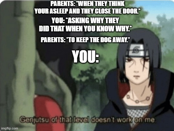 genjutsu of that level doesn't work on me | PARENTS: *WHEN THEY THINK YOUR ASLEEP AND THEY CLOSE THE DOOR.*; YOU: *ASKING WHY THEY DID THAT WHEN YOU KNOW WHY.*; PARENTS: *TO KEEP THE DOG AWAY.*; YOU: | image tagged in genjutsu of that level doesn't work on me | made w/ Imgflip meme maker