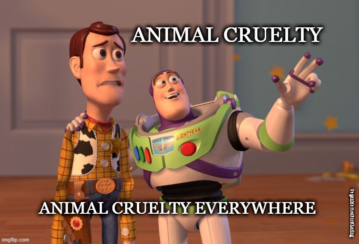 X, X Everywhere Meme |  ANIMAL CRUELTY; ANIMAL CRUELTY EVERYWHERE; VeganMemesForSharing | image tagged in x x everywhere,vegan,meat,dairy,eggs,vivisection | made w/ Imgflip meme maker