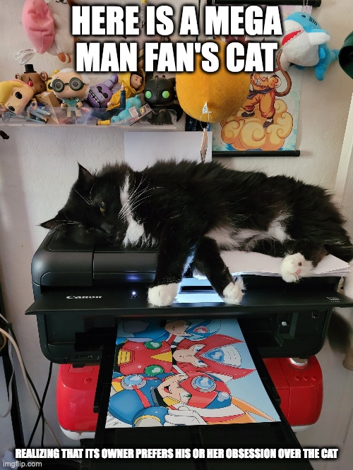 Cat on Printer | HERE IS A MEGA MAN FAN'S CAT; REALIZING THAT ITS OWNER PREFERS HIS OR HER OBSESSION OVER THE CAT | image tagged in printer,cats,memes | made w/ Imgflip meme maker