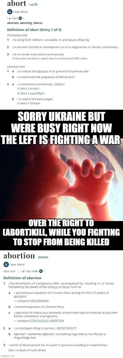 Huston we have a problem | SORRY UKRAINE BUT WERE BUSY RIGHT NOW THE LEFT IS FIGHTING A WAR; OVER THE RIGHT TO (ABORT)KILL, WHILE YOU FIGHTING TO STOP FROM BEING KILLED | image tagged in abortion | made w/ Imgflip meme maker
