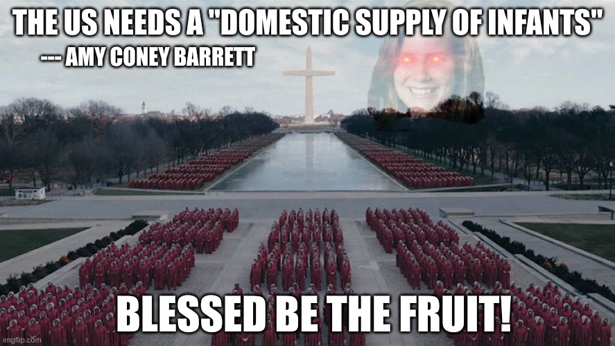 R.I.P. ROE V. WADE | THE US NEEDS A "DOMESTIC SUPPLY OF INFANTS"; --- AMY CONEY BARRETT; BLESSED BE THE FRUIT! | image tagged in judge amy coney barrett handmaid's tale | made w/ Imgflip meme maker