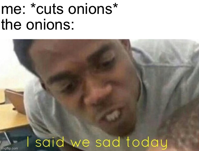 ? | me: *cuts onions*
the onions: | image tagged in i said we sad today,funny,memes,funny memes,barney will eat all of your delectable biscuits,this onion won't make me cry | made w/ Imgflip meme maker