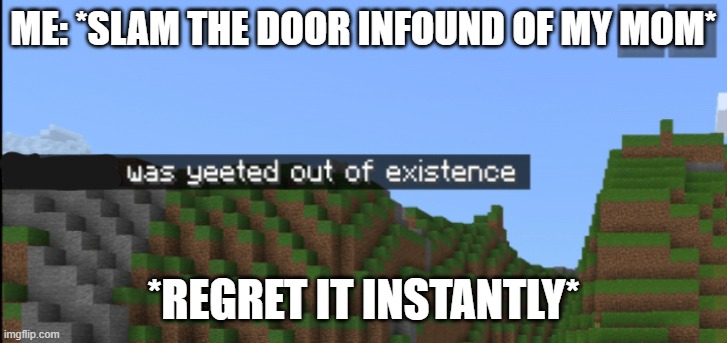 Minecraft death | ME: *SLAM THE DOOR INFOUND OF MY MOM*; *REGRET IT INSTANTLY* | image tagged in minecraft death | made w/ Imgflip meme maker