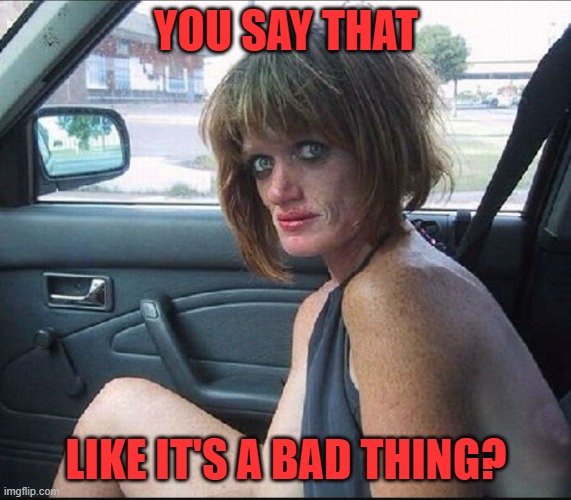 crack whore hooker | YOU SAY THAT LIKE IT'S A BAD THING? | image tagged in crack whore hooker | made w/ Imgflip meme maker
