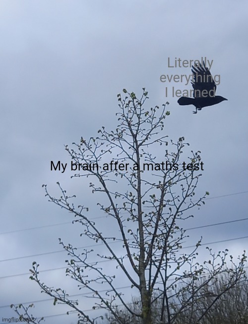 True tho | Literally everything I learned; My brain after a maths test | image tagged in crow leaving | made w/ Imgflip meme maker