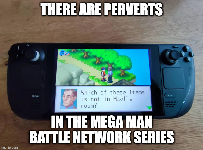 Pervert in Mega Man Battle Network | THERE ARE PERVERTS; IN THE MEGA MAN BATTLE NETWORK SERIES | image tagged in pervert,gaming,megaman,megaman battle network,memes | made w/ Imgflip meme maker