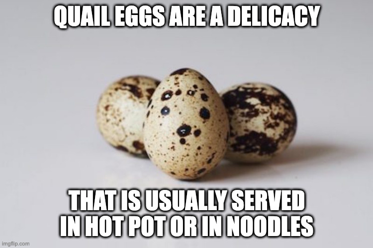 Quail Eggs | QUAIL EGGS ARE A DELICACY; THAT IS USUALLY SERVED IN HOT POT OR IN NOODLES | image tagged in eggs,memes | made w/ Imgflip meme maker