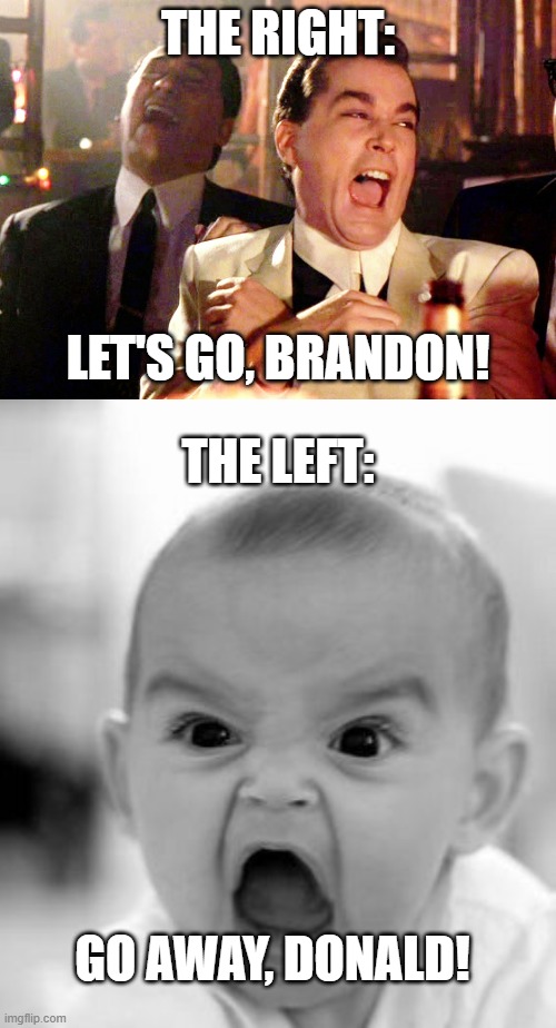 Two Can Play That Game | THE RIGHT:; LET'S GO, BRANDON! THE LEFT:; GO AWAY, DONALD! | image tagged in memes,good fellas hilarious,angry baby | made w/ Imgflip meme maker