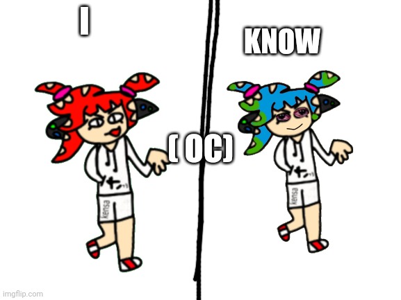 Blank White Template | I KNOW ( OC) | image tagged in blank white template | made w/ Imgflip meme maker