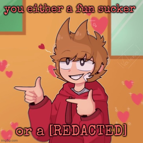 Tord :) | you either a fun sucker; or a [REDACTED] | image tagged in tord | made w/ Imgflip meme maker