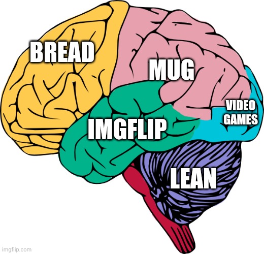Brain Sections | MUG; BREAD; VIDEO GAMES; IMGFLIP; LEAN | image tagged in brain sections | made w/ Imgflip meme maker