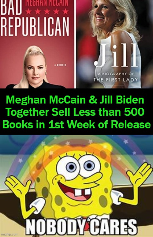 Name Two Women Who Shouldn't Write Books . . . | Meghan McCain & Jill Biden 
Together Sell Less than 500 
Books in 1st Week of Release | image tagged in political,political humor,liberals,no respect,authors,who cares | made w/ Imgflip meme maker