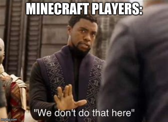 We don`t do that in here | MINECRAFT PLAYERS: | image tagged in we don t do that in here | made w/ Imgflip meme maker