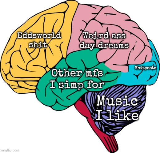 idk | Weird ass day dreams; Eddsworld shit; Shitposts; Other mfs I simp for; Music I like | image tagged in brain sections | made w/ Imgflip meme maker