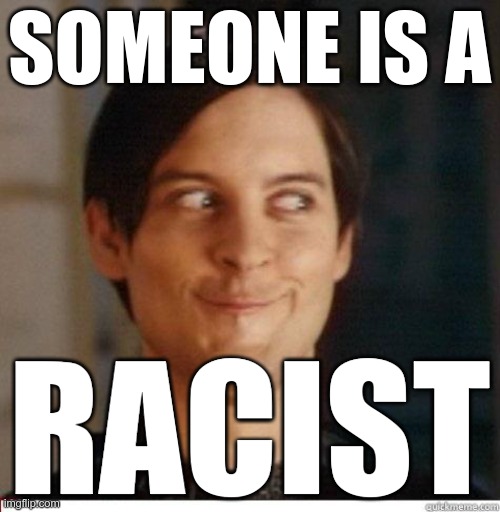 Toby Maguire | SOMEONE IS A RACIST | image tagged in toby maguire | made w/ Imgflip meme maker