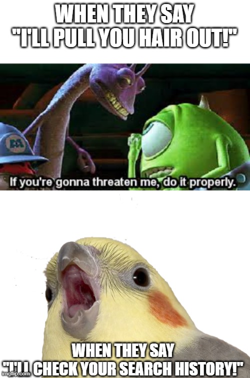 Threatening People |  WHEN THEY SAY "I'LL PULL YOU HAIR OUT!"; WHEN THEY SAY
"I'LL CHECK YOUR SEARCH HISTORY!" | image tagged in mike wazowski do it properly,screem,search history,school meme,bullying,meme | made w/ Imgflip meme maker