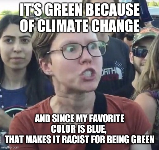 Triggered feminist | IT'S GREEN BECAUSE OF CLIMATE CHANGE AND SINCE MY FAVORITE COLOR IS BLUE, 
THAT MAKES IT RACIST FOR BEING GREEN | image tagged in triggered feminist | made w/ Imgflip meme maker