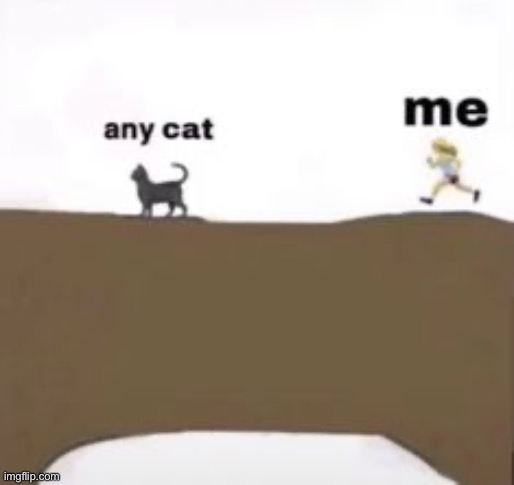 I LOVE CATS I LOVE CAT I LOVE CAT I LOVE CATS- BUT DOGS>> | made w/ Imgflip meme maker