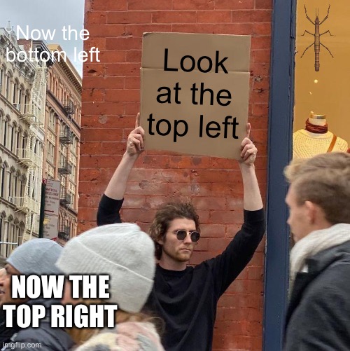 Get stickbugged |  Now the bottom left; Look at the top left; NOW THE TOP RIGHT | image tagged in memes,guy holding cardboard sign,stickbug | made w/ Imgflip meme maker