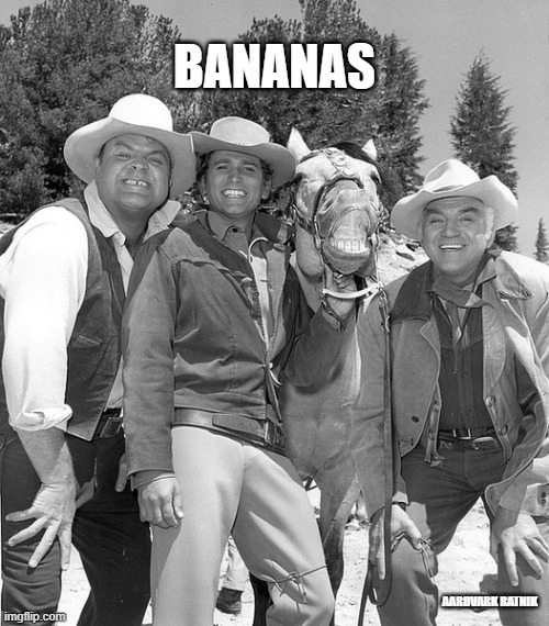 Bonanza Bananas | BANANAS; AARDVARK RATNIK | image tagged in banana,westerns,funny memes,tv show,horse | made w/ Imgflip meme maker