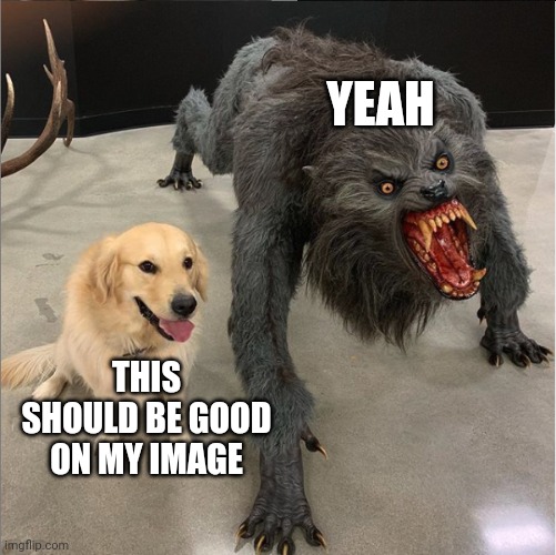 dog vs werewolf | YEAH THIS SHOULD BE GOOD ON MY IMAGE | image tagged in dog vs werewolf | made w/ Imgflip meme maker