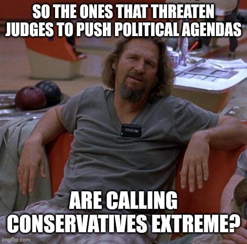 They got it backwards. | SO THE ONES THAT THREATEN JUDGES TO PUSH POLITICAL AGENDAS; ARE CALLING CONSERVATIVES EXTREME? | image tagged in the dude | made w/ Imgflip meme maker