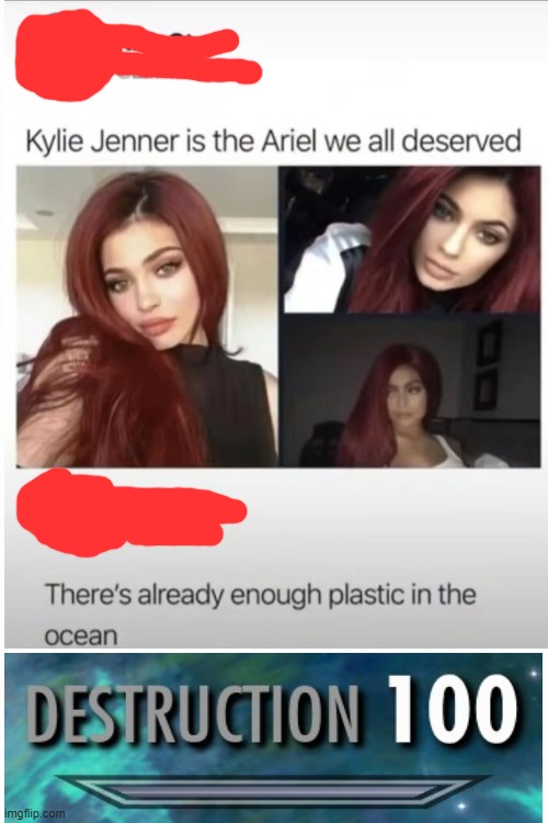 bro you just destroyed her | image tagged in destruction 100,kylie jenner,funny memes,fun,roast,roasting | made w/ Imgflip meme maker