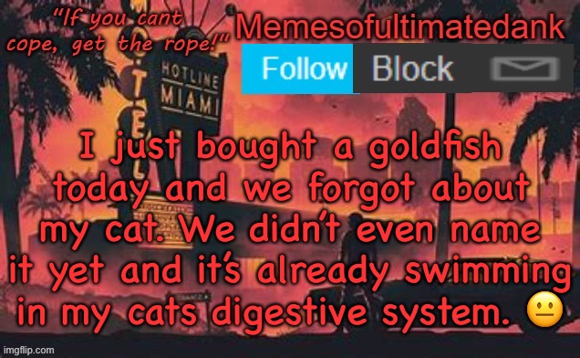 RIP [unnamed] 2022-2022 | I just bought a goldfish today and we forgot about my cat. We didn’t even name it yet and it’s already swimming in my cats digestive system. 😐 | image tagged in memesofultimatedank template by whyamiahat | made w/ Imgflip meme maker