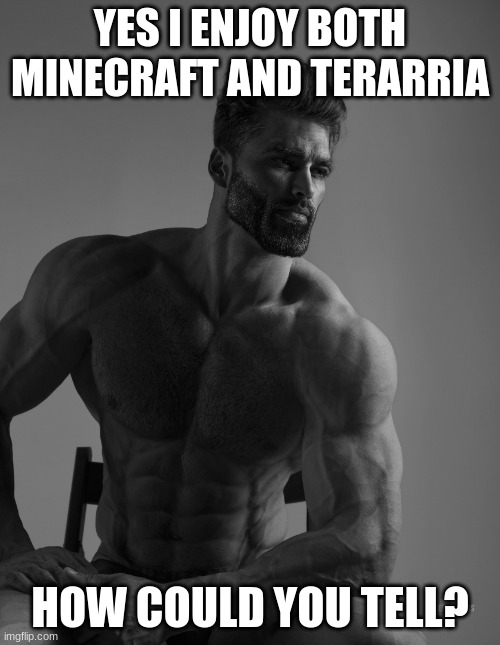 Giga Chad | YES I ENJOY BOTH MINECRAFT AND TERARRIA; HOW COULD YOU TELL? | image tagged in giga chad,memes | made w/ Imgflip meme maker