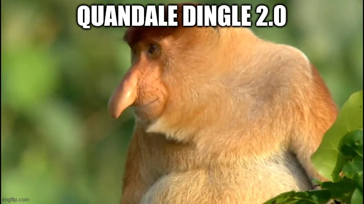 Quandale dingle revised | QUANDALE DINGLE 2.0 | image tagged in memes | made w/ Imgflip meme maker