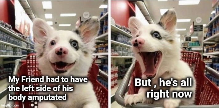 Happy Puppy | My Friend had to have
the left side of his 
body amputated But , he's all 
right now | image tagged in happy puppy | made w/ Imgflip meme maker