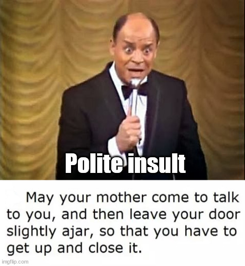 Polite insult | image tagged in don rickles insult | made w/ Imgflip meme maker