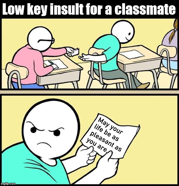 How to insult someone without getting beaten up | Low key insult for a classmate; May your 
life be as 
pleasant as 
you are. | image tagged in insulting paper,rare | made w/ Imgflip meme maker