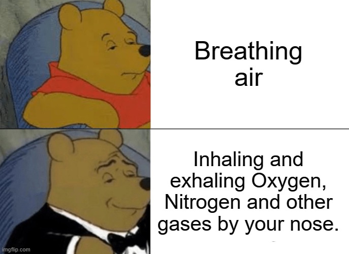 True | Breathing air; Inhaling and exhaling Oxygen, Nitrogen and other gases by your nose. | image tagged in memes,tuxedo winnie the pooh,funny,unfunny,oh wow are you actually reading these tags,stop reading the tags | made w/ Imgflip meme maker