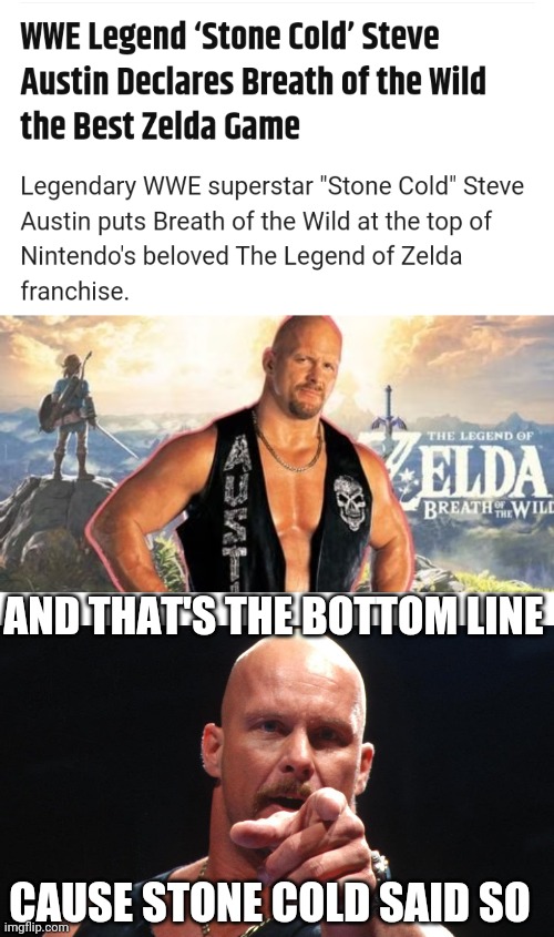 GIMMIE A HELL YEAH | AND THAT'S THE BOTTOM LINE; CAUSE STONE COLD SAID SO | image tagged in memes,the legend of zelda breath of the wild,the legend of zelda,stone cold steve austin | made w/ Imgflip meme maker