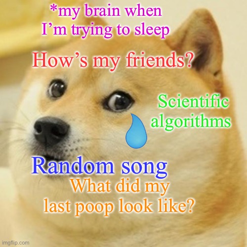 @GoldDragonLord.com…….jk heheh | *my brain when I’m trying to sleep; How’s my friends? Scientific algorithms; Random song; What did my last poop look like? | image tagged in memes,doge | made w/ Imgflip meme maker