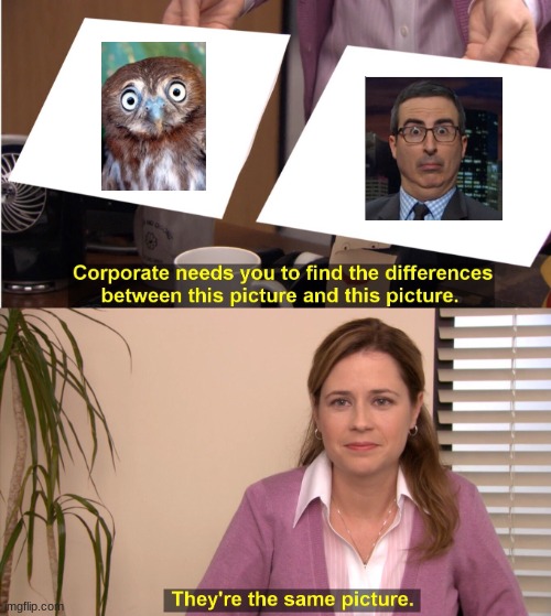 Find The Difference | image tagged in memes,they're the same picture | made w/ Imgflip meme maker