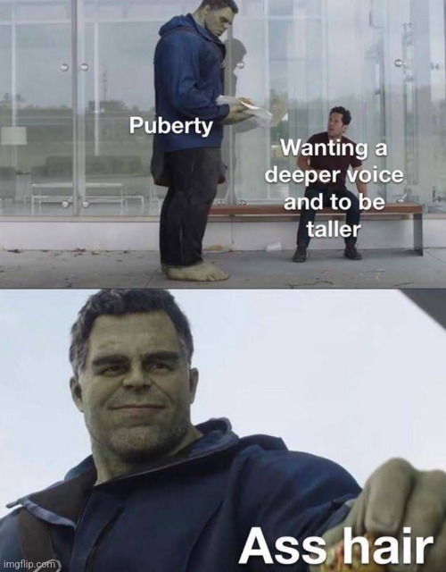 image tagged in funny memes | made w/ Imgflip meme maker